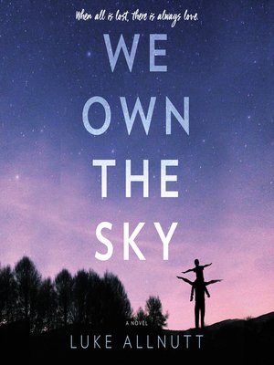 cover image of We Own the Sky